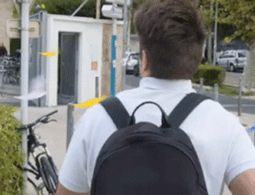 Vidéo : Les campus de la Faculté d’Éducation