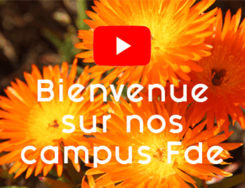 Découverte de chaque campus en vidéos