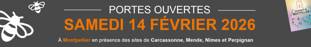 BANDOWEB-JPO26-920X350-2-1200×218-B2