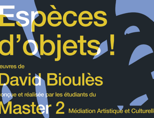Exposition M2 MAC « Espèces d&rsquo;objets ! »